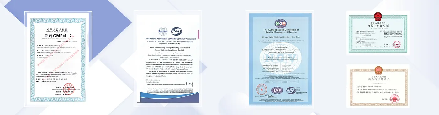 wixbio certificate